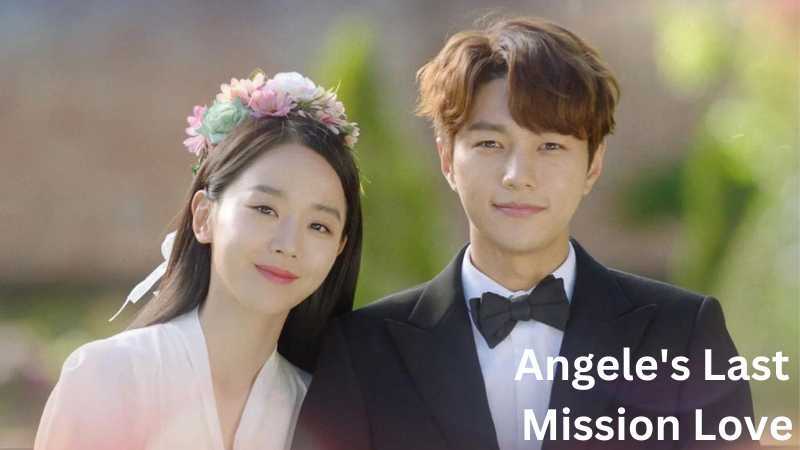 Angels Last Mission: Love